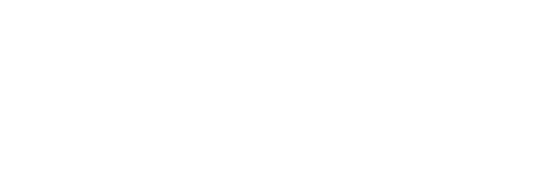 Digital Future Academy logo